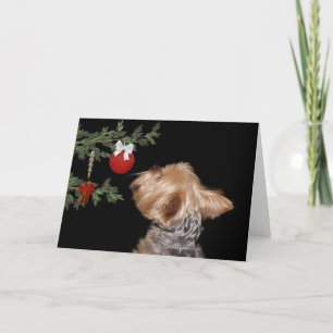 Frestad Yorkie jul Helgkort