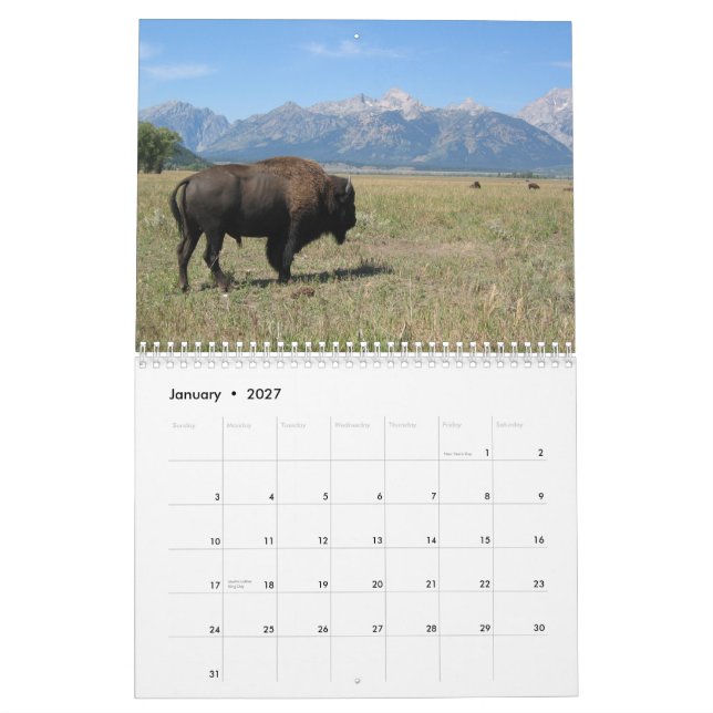 Frey semester kalender (Jan 2027)