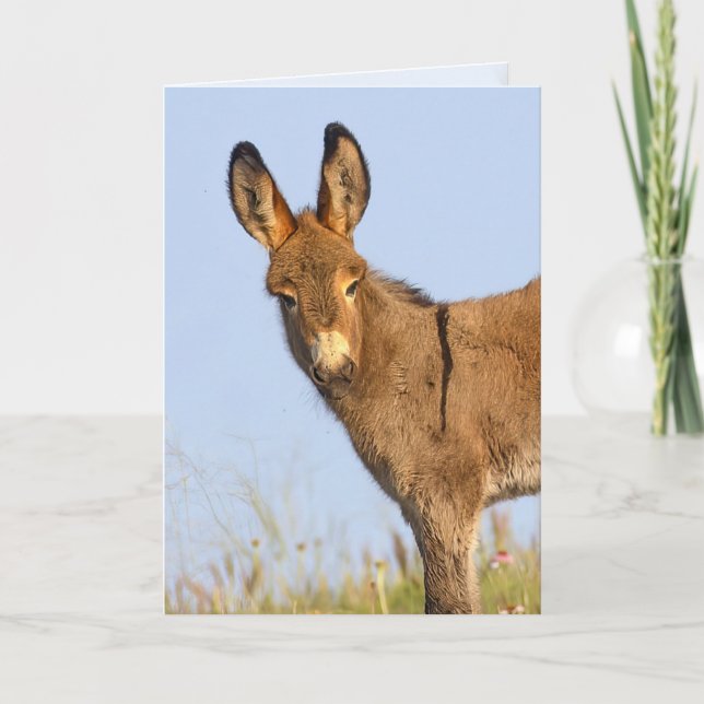 "Fri att ströva" - Greeting Card Kort (Framsida)