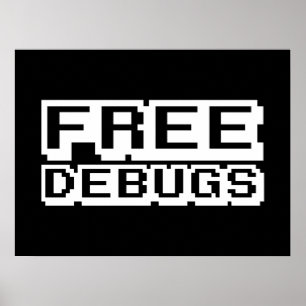 FRI DEBUD POSTER