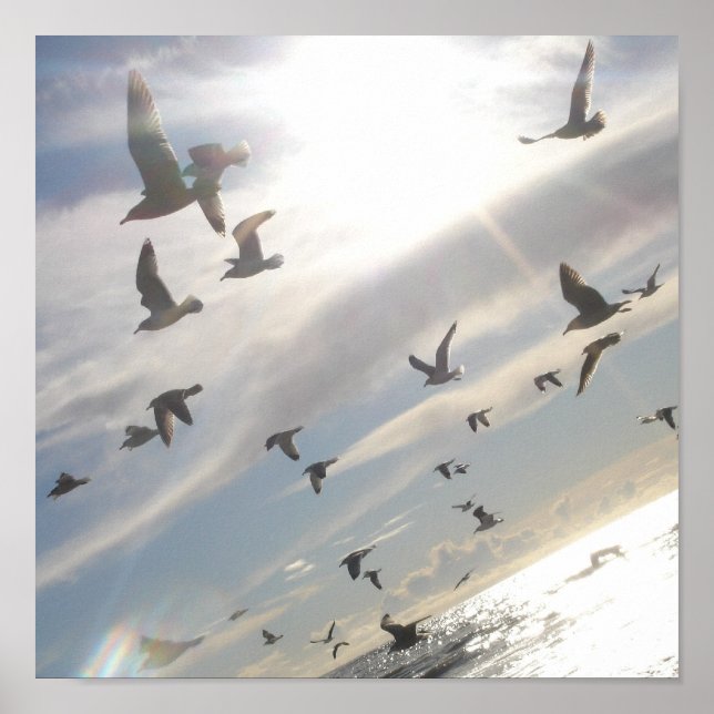 Fri flygtrafik poster (Framsidan)