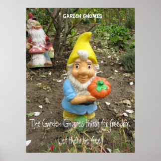 Fri Garden gnomes Poster