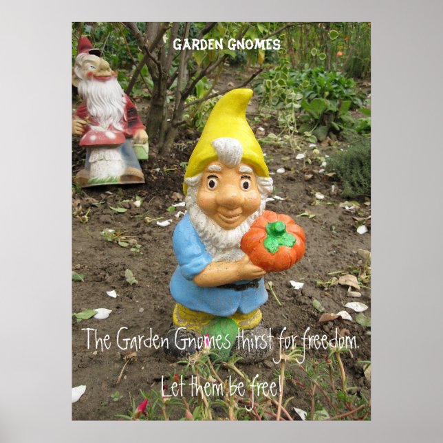 Fri Garden gnomes Poster (Framsidan)