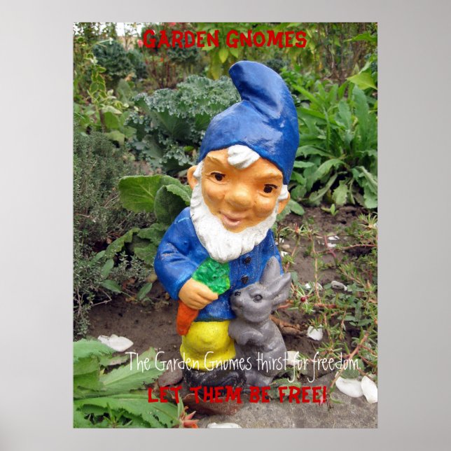 Fri Garden gnomes Poster (Framsidan)