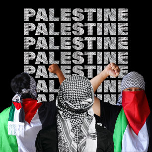 Fri Palestina i palestinsk scarfd design  Gaza T Shirt
