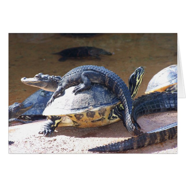 Fri rid hälsningskort (Framsidan Horizontal)