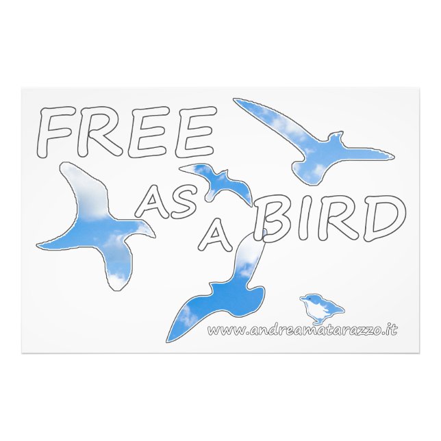 Fri som fågel fototryck (Framsidan)