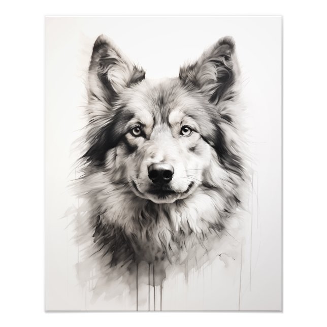 Fri spirit Hund Black and White Fototryck (Framsidan)