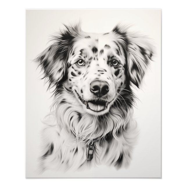Fri spirit Hund Black and White Fototryck (Framsidan)