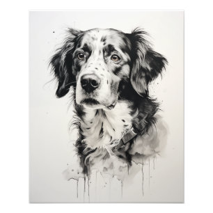 Fri spirit Hund Black and White Fototryck