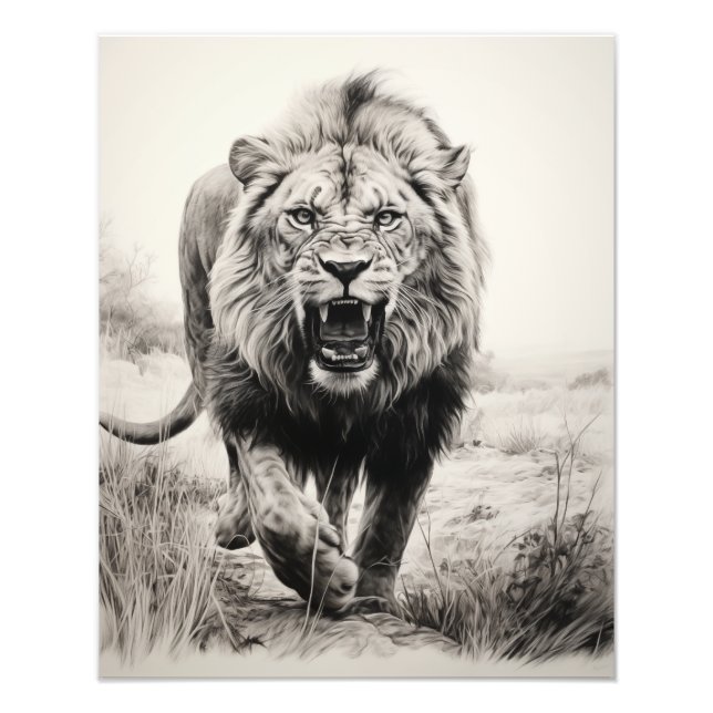 Fri spirit Lejon Black and White Fototryck (Framsidan)