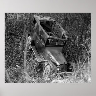 Fri Sunroof: 1922 Poster