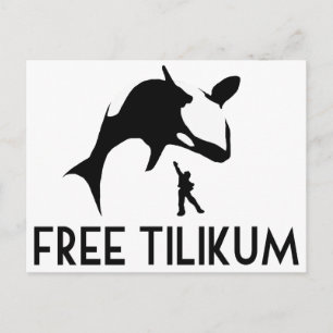 Fri Tilikum Rädda Späckhuggaren Orca Vykort