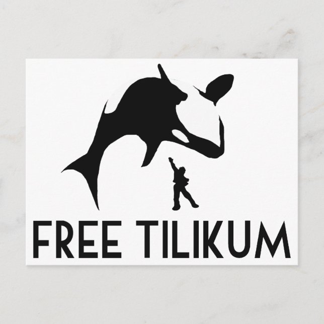 Fri Tilikum Rädda Späckhuggaren Orca Vykort (Framsida)