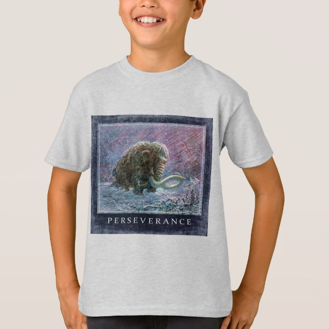 Fri ullig kolossal isålderPerseverance Tee Shirt (Framsida)