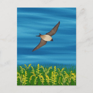 FRIA FÅGELSÖDER VYKORT