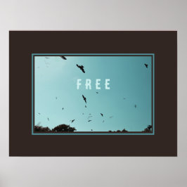 Fria fåglar i himlar poster