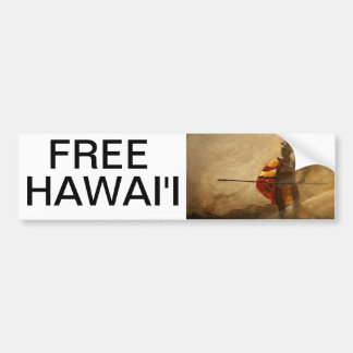 FRIA HAWAII BILDEKAL