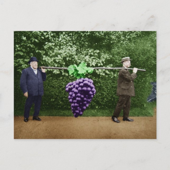 Friar Park vykort #17 (Framsida)