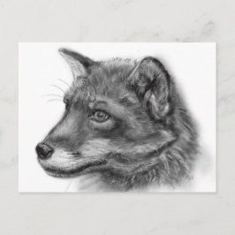Frida, The Wee Scottish Fox! Vykort