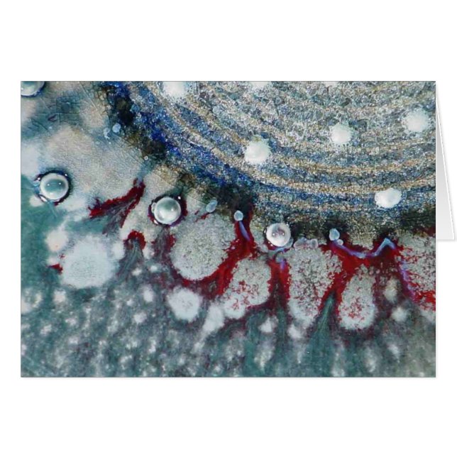 Fridfull sjöman hälsningskort (Framsidan Horizontal)