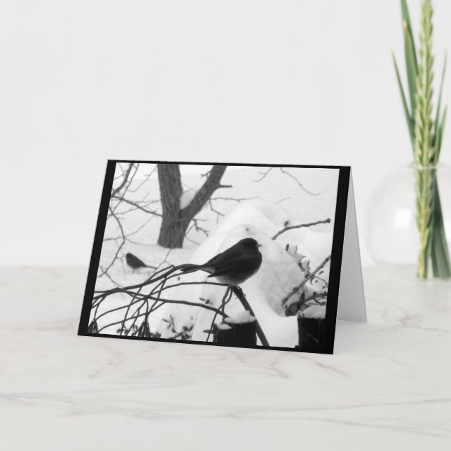 Fridfull Snowbirdjulkort Helgkort (Framsida)