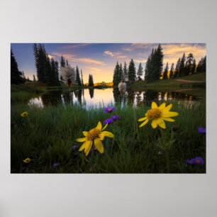 Fridfull soluppgång över ett Colorado damm Poster