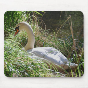 Fridfull svan Mousepad Musmatta