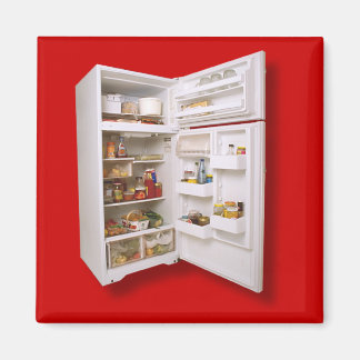 FRIDGE-DÖRREN FÖR DITT FRIDGE-DÖRRSKIFORN MAGNET