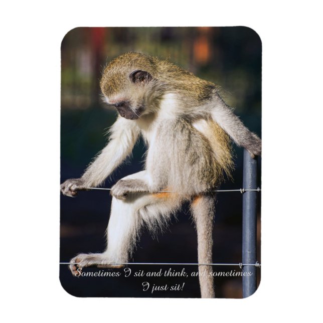 Fridge Magnet med apa och Slogan (Vertikal)