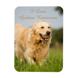 Fridge Magnet med Golden Retriever och Slogan