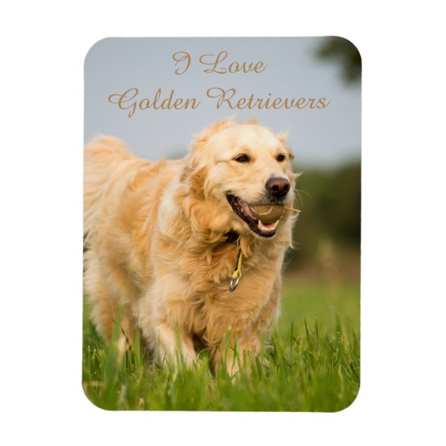 Fridge Magnet med Golden Retriever och Slogan (Vertikal)