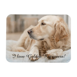 Fridge Magnet med Golden Retriever och Slogan