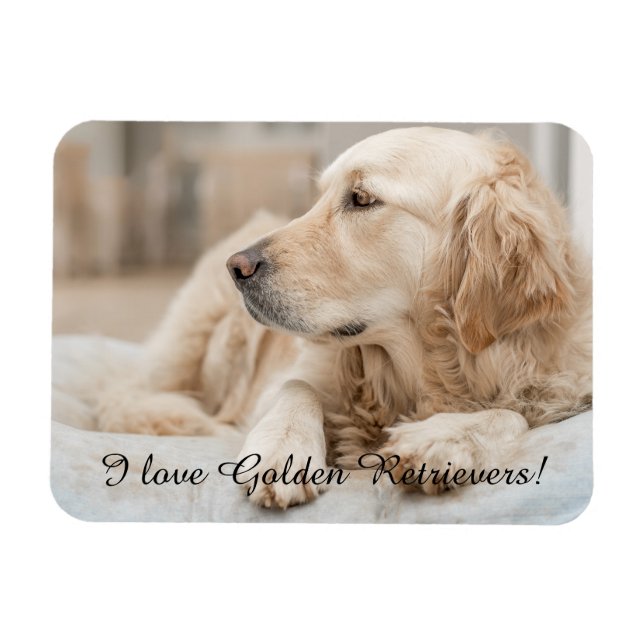 Fridge Magnet med Golden Retriever och Slogan (Horisontell)