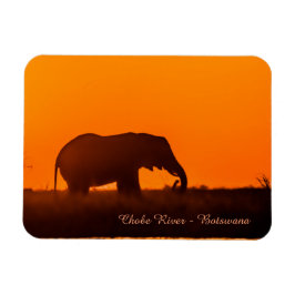 Fridge Magnet med silhuette av Elephant
