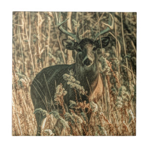 fridluftsmänniskans vildmark Camouflage whitetail Kakelplatta