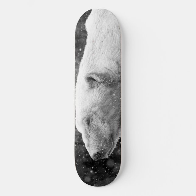Fridsam polar björn skateboard bräda 19,5 cm (Framsida)