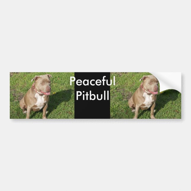 Fridsamma Pitbull Bildekal (Framsidan)