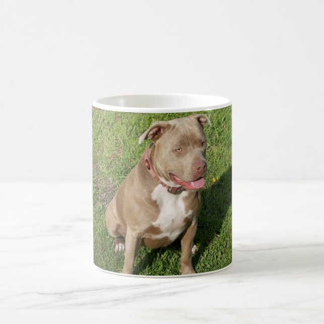 Fridsamma Pitbull Kaffemugg (Center)