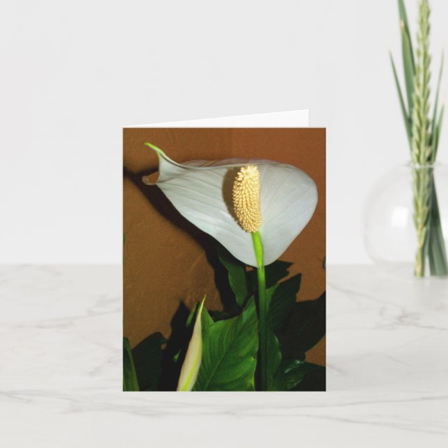 Fridslilja Blomma Notkort Kort (Framsida)
