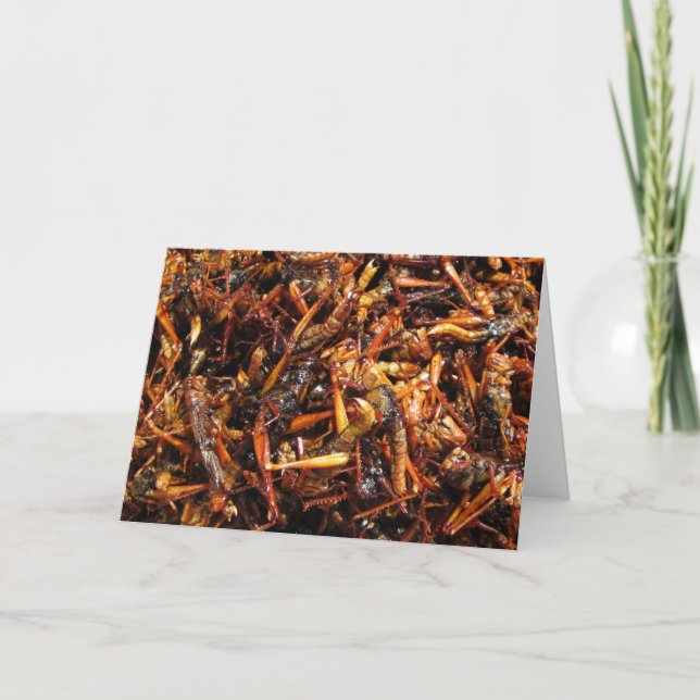 Fried Grashopper (Takkataen Thot), asiatisk mat Kort (Framsida)