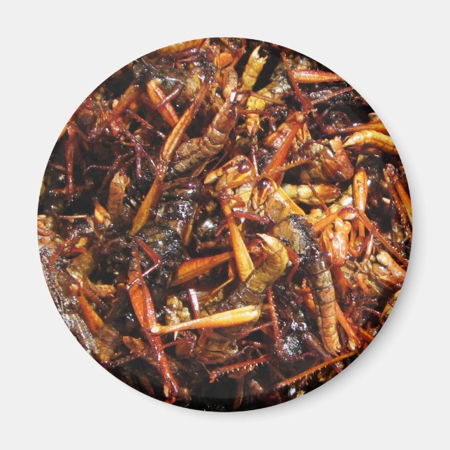 Fried Grashopper (Takkataen Thot), asiatisk mat Magnet (Framsidan)