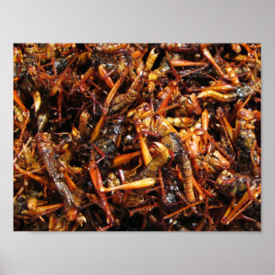 Fried Grashopper (Takkataen Thot), asiatisk mat Poster