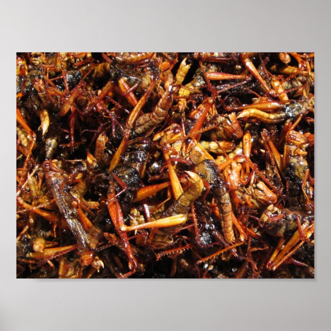 Fried Grashopper (Takkataen Thot), asiatisk mat Poster (Framsidan)