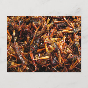 Fried Grashopper (Takkataen Thot), asiatisk mat Vykort