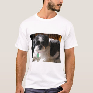 Friedberg Warren T Shirt