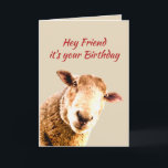 Friend Birthday Funny Sheep Animal Humor Helgkort<br><div class="desc">Friend Birthday Funny Sheep Animal Humor låter dig leta efter några fåraskmarker. Roligt Pun Funny Sheep Animal Humor för din bästa vän</div>