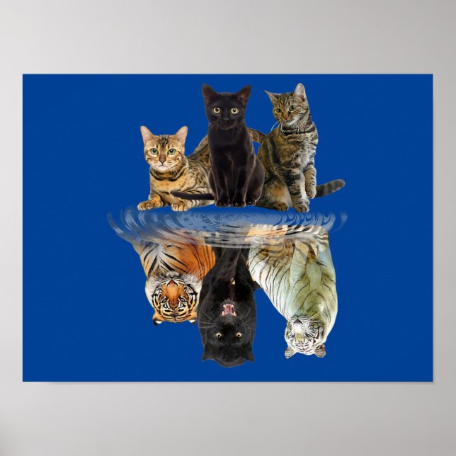 Friend Cat Lovers Cute Tiger Poster (Framsidan)