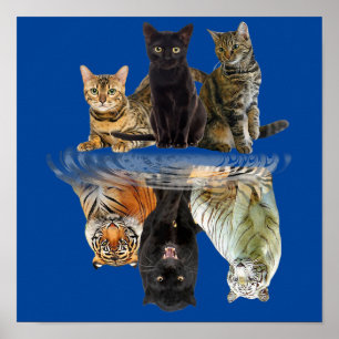 Friend Cat Lovers Cute Tiger Poster