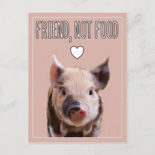 "Friend, not food"-rosa med söt smågris vegan Vykort